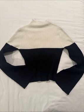 Two-Tone Ribbed Turtleneck Sweater in Cream and Black
